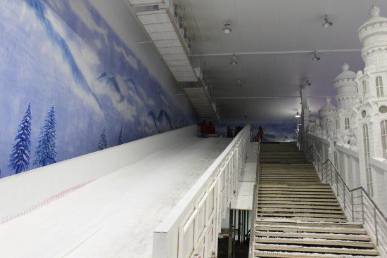 VGP Universal Kingdom